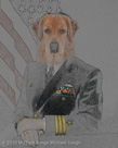 Commander Canine